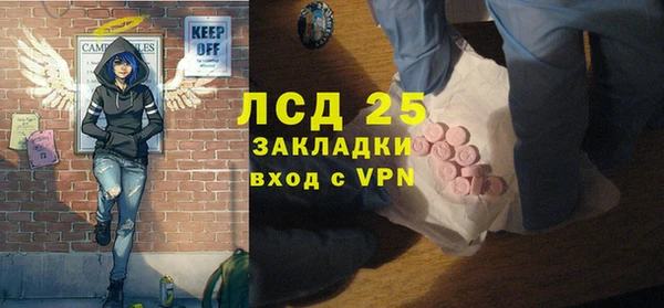 гашик Болотное