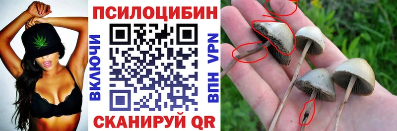 Псилоцибиновые грибы Magic Shrooms  Кирсанов 
